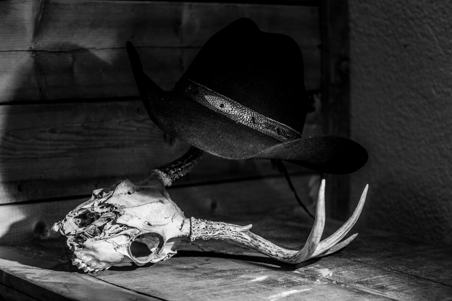 Turquoise Stingray & Alligator Hatband