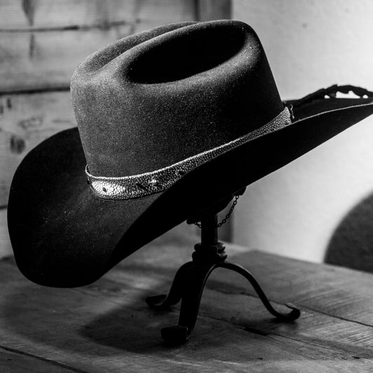 Turquoise Stingray & Alligator Hatband